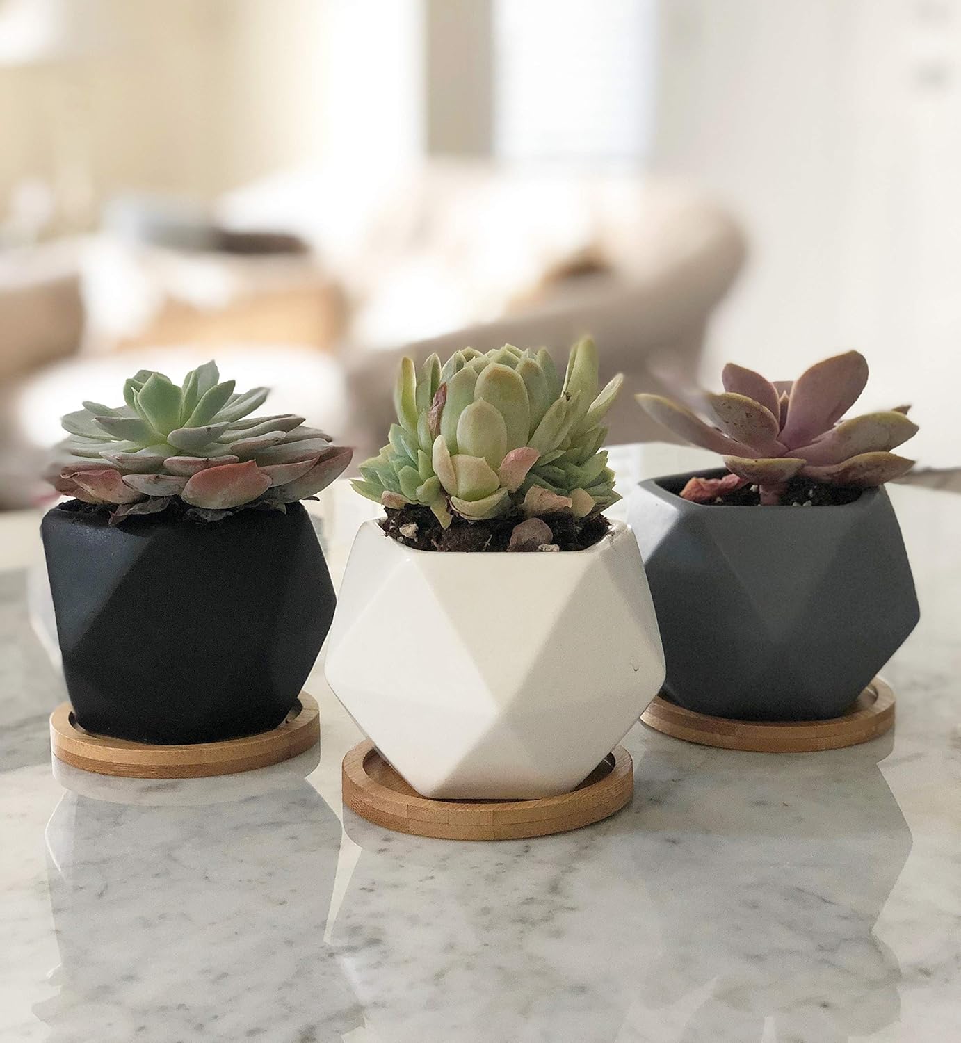Elegant Living – Decorative Home Essential